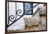 Iron Detail I -  Kotor, Montenegro-Laura DeNardo-Framed Photographic Print