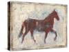 Iron Equine II-Ethan Harper-Stretched Canvas