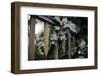 Iron fence with ivy-Nadja Jacke-Framed Photographic Print