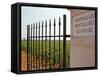 Iron Gate and Post to the Grand Cru Vineyard, Santenay, Bourgone, France-Per Karlsson-Framed Stretched Canvas