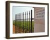 Iron Gate and Post to the Grand Cru Vineyard, Santenay, Bourgone, France-Per Karlsson-Framed Photographic Print