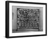 Iron Radiator Screen-null-Framed Photographic Print