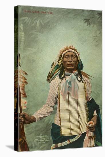 Iron Tail, Sioux Chief-null-Stretched Canvas