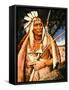 Iroquois Chief-Henry H. Cross-Framed Stretched Canvas