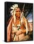 Iroquois Chief-Henry H. Cross-Framed Stretched Canvas