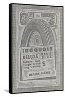 Iroquois Deluxe Bike Tires-null-Framed Stretched Canvas