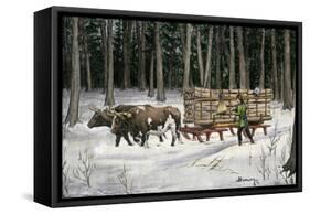 Iroquois Man Transporting Cut Timber by Ox-Drawn Sledge, 1890s-null-Framed Stretched Canvas