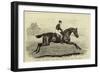 Iroquois, the Winner of the Derby of 1881, and His Jockey, Fred Archer-null-Framed Giclee Print