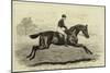 Iroquois, the Winner of the Derby of 1881, and His Jockey, Fred Archer-null-Mounted Giclee Print