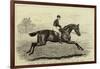 Iroquois, the Winner of the Derby of 1881, and His Jockey, Fred Archer-null-Framed Giclee Print