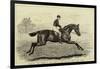 Iroquois, the Winner of the Derby of 1881, and His Jockey, Fred Archer-null-Framed Giclee Print