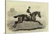 Iroquois, the Winner of the Derby of 1881, and His Jockey, Fred Archer-null-Stretched Canvas