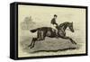 Iroquois, the Winner of the Derby of 1881, and His Jockey, Fred Archer-null-Framed Stretched Canvas