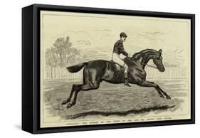 Iroquois, the Winner of the Derby of 1881, and His Jockey, Fred Archer-null-Framed Stretched Canvas
