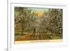 Irrigated Orchard in Bloom, Washington-null-Framed Premium Giclee Print