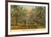 Irrigated Orchard in Bloom, Washington-null-Framed Premium Giclee Print