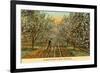 Irrigated Orchard in Bloom, Washington-null-Framed Premium Giclee Print