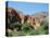 Irrigated Vegetable Garden in the Desert Hills, Near Purmamarca, Jujuy, Argentina, South America-Lousie Murray-Stretched Canvas