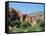 Irrigated Vegetable Garden in the Desert Hills, Near Purmamarca, Jujuy, Argentina, South America-Lousie Murray-Framed Stretched Canvas