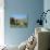 Irrigated Vegetable Garden in the Desert Hills, Near Purmamarca, Jujuy, Argentina, South America-Lousie Murray-Stretched Canvas displayed on a wall