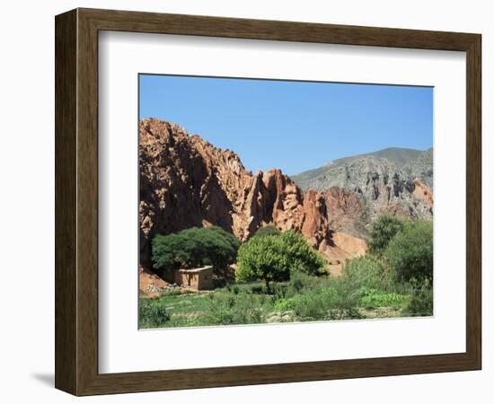 Irrigated Vegetable Garden in the Desert Hills, Near Purmamarca, Jujuy, Argentina, South America-Lousie Murray-Framed Photographic Print