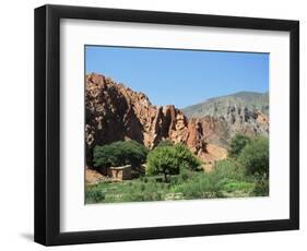 Irrigated Vegetable Garden in the Desert Hills, Near Purmamarca, Jujuy, Argentina, South America-Lousie Murray-Framed Photographic Print