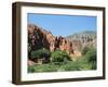 Irrigated Vegetable Garden in the Desert Hills, Near Purmamarca, Jujuy, Argentina, South America-Lousie Murray-Framed Photographic Print