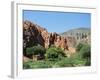 Irrigated Vegetable Garden in the Desert Hills, Near Purmamarca, Jujuy, Argentina, South America-Lousie Murray-Framed Photographic Print