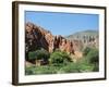 Irrigated Vegetable Garden in the Desert Hills, Near Purmamarca, Jujuy, Argentina, South America-Lousie Murray-Framed Photographic Print