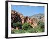 Irrigated Vegetable Garden in the Desert Hills, Near Purmamarca, Jujuy, Argentina, South America-Lousie Murray-Framed Photographic Print