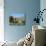 Irrigated Vegetable Garden in the Desert Hills, Near Purmamarca, Jujuy, Argentina, South America-Lousie Murray-Mounted Photographic Print displayed on a wall