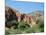 Irrigated Vegetable Garden in the Desert Hills, Near Purmamarca, Jujuy, Argentina, South America-Lousie Murray-Mounted Photographic Print