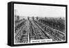 Irrigating Grape Vines, Australia, 1928-null-Framed Stretched Canvas
