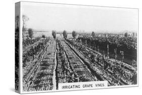 Irrigating Grape Vines, Australia, 1928-null-Stretched Canvas