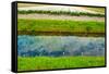 Irrigation Canal-gkuna-Framed Stretched Canvas