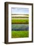 Irrigation Canal-gkuna-Framed Photographic Print