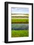 Irrigation Canal-gkuna-Framed Photographic Print