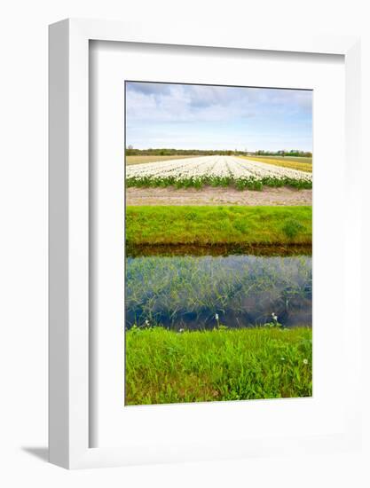 Irrigation Canal-gkuna-Framed Photographic Print