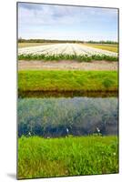 Irrigation Canal-gkuna-Mounted Photographic Print