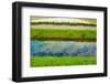 Irrigation Canal-gkuna-Framed Photographic Print