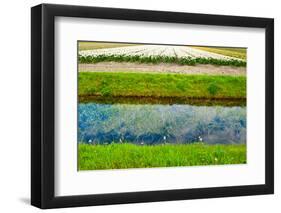 Irrigation Canal-gkuna-Framed Photographic Print