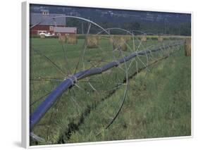 Irrigation Equipment in Hay Field with Bales and Red Barn, Bitteroot Valley, Montana, USA-Jamie & Judy Wild-Framed Photographic Print