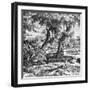 Irrigation Pump, South China, C1890-null-Framed Giclee Print