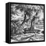 Irrigation Pump, South China, C1890-null-Framed Stretched Canvas