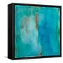 Irrigation-Michelle Oppenheimer-Framed Stretched Canvas