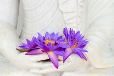Fresh Flue Star Water Lily or Star Lotus Flowers in Buddha Image Hands-Iryna Rasko-Mounted Photographic Print