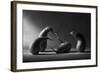 Is It a Murder Or a Suicide?-Victoria Ivanova-Framed Photographic Print