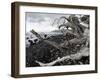 Isaac Hale Beach Park, Puna Coast, Hawaii-Maresa Pryor-Framed Photographic Print