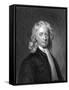 Isaac Newton, English Mathematician and Physicist-null-Framed Stretched Canvas