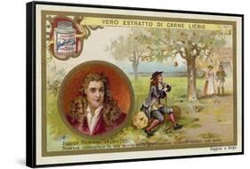 Isaac Newton, English Physicist and Mathematician-null-Framed Stretched Canvas